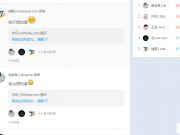 一個影響力大、實(shí)戰(zhàn)、干貨的SEO案例