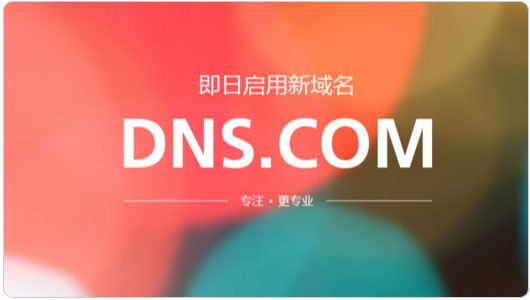 DNS服務(wù) 免費(fèi)DNS服務(wù) 阿里公共DNS DNSPod dns怎么設(shè)置