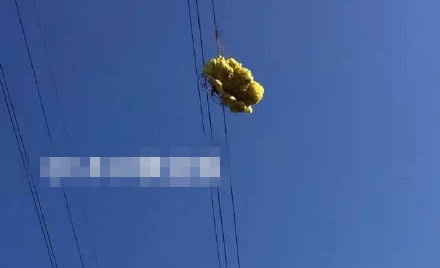 男子玩滑翔傘遇險(xiǎn)：掛在11萬(wàn)伏高壓線上