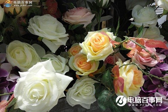 相機(jī)PK 榮耀5C和紅米Note3拍照樣張對(duì)比
