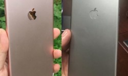 蘋果自曝iPhone 7發(fā)布時間：這么快！