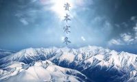 3D轉(zhuǎn)VR體驗(yàn) 盟云移軟《拳擊比賽開場(chǎng)》軟著發(fā)布