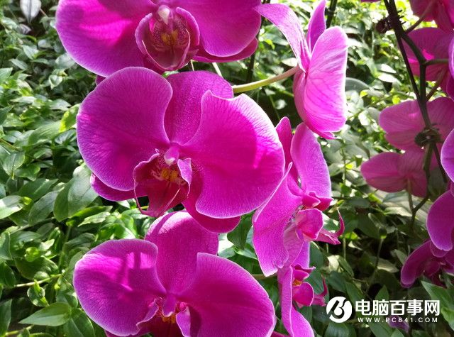 魅藍(lán)E半月使用體驗(yàn)評(píng)測：品質(zhì)實(shí)力不輸顏值