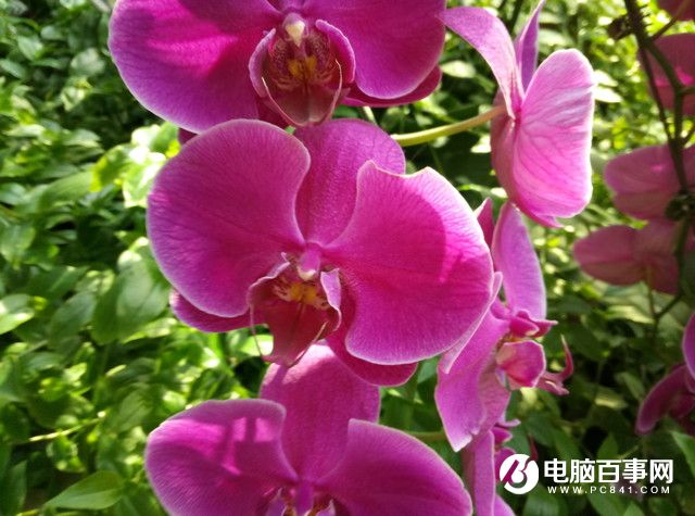 魅藍(lán)E半月使用體驗(yàn)評(píng)測：品質(zhì)實(shí)力不輸顏值