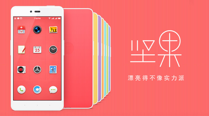 堅(jiān)果手機(jī)怎么購買 堅(jiān)果手機(jī)購買指南