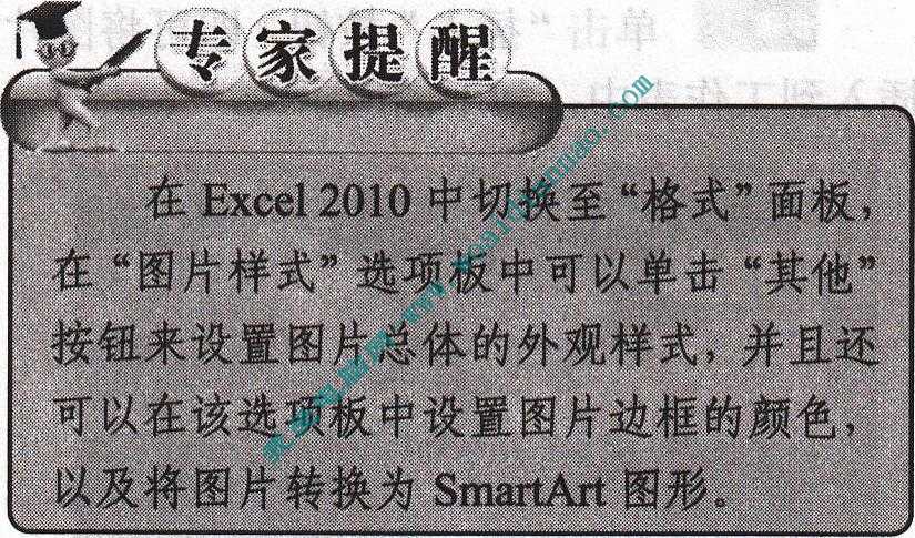 在Excel2010中設(shè)置圖片屬性