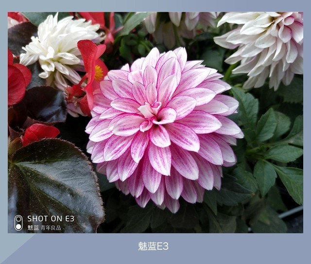 360N7、魅藍(lán)E3、紅米Note5對(duì)比評(píng)測 千元強(qiáng)機(jī)你選誰？