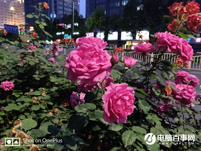 一加手機6怎么樣 值得買嗎？一加6評測