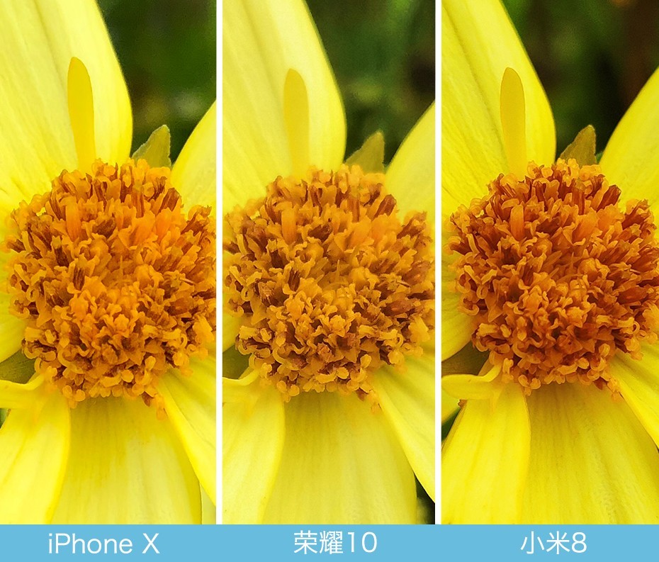 iPhone X、榮耀10、小米8拍照對比評測 蘋果秒殺一切？