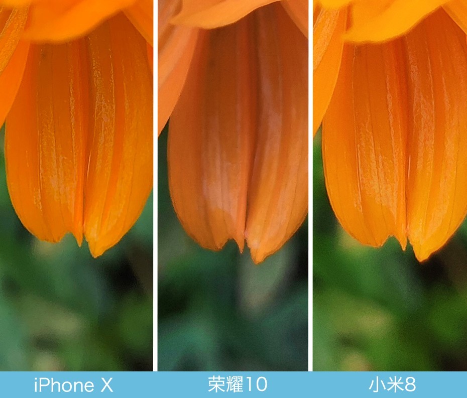 iPhone X、榮耀10、小米8拍照對比評測 蘋果秒殺一切？