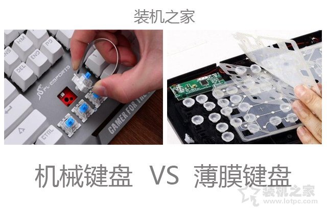 機械鍵盤怎么選？機械鍵盤和普通鍵盤的區別
