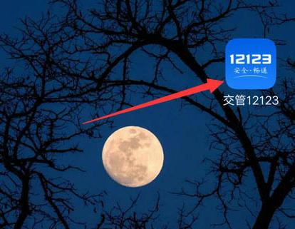 交管12123檢驗合格標志電子版在哪里查看？